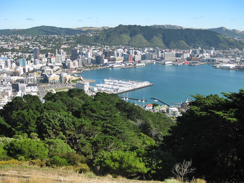 Wellington. Mount Victoria