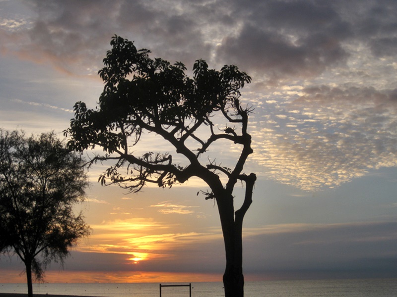 Platja Malgrat Centre