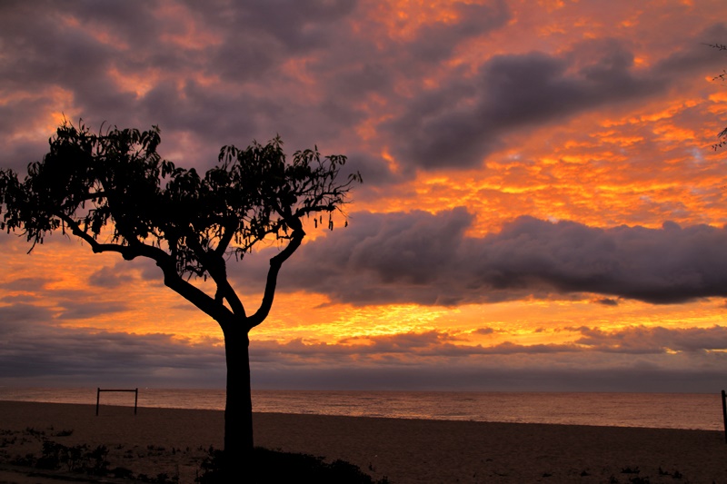 Malgrat de Mar (El Maresme)