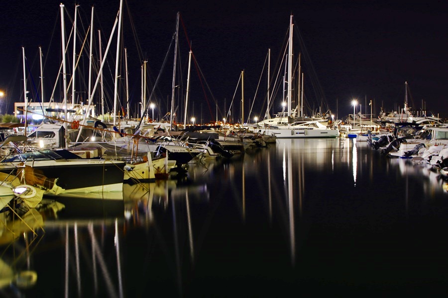 Roses. Port