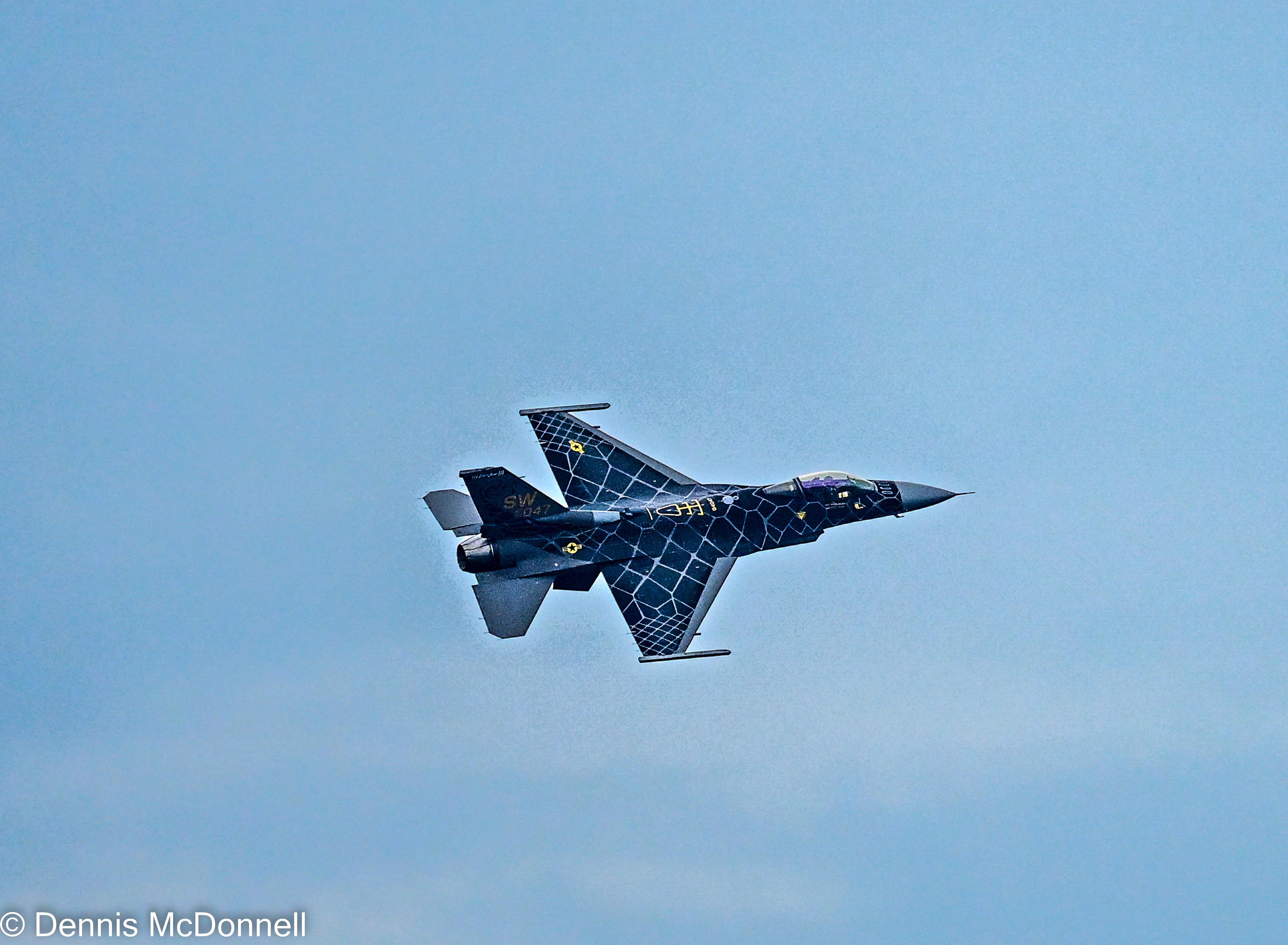 DSC_2012.JPG