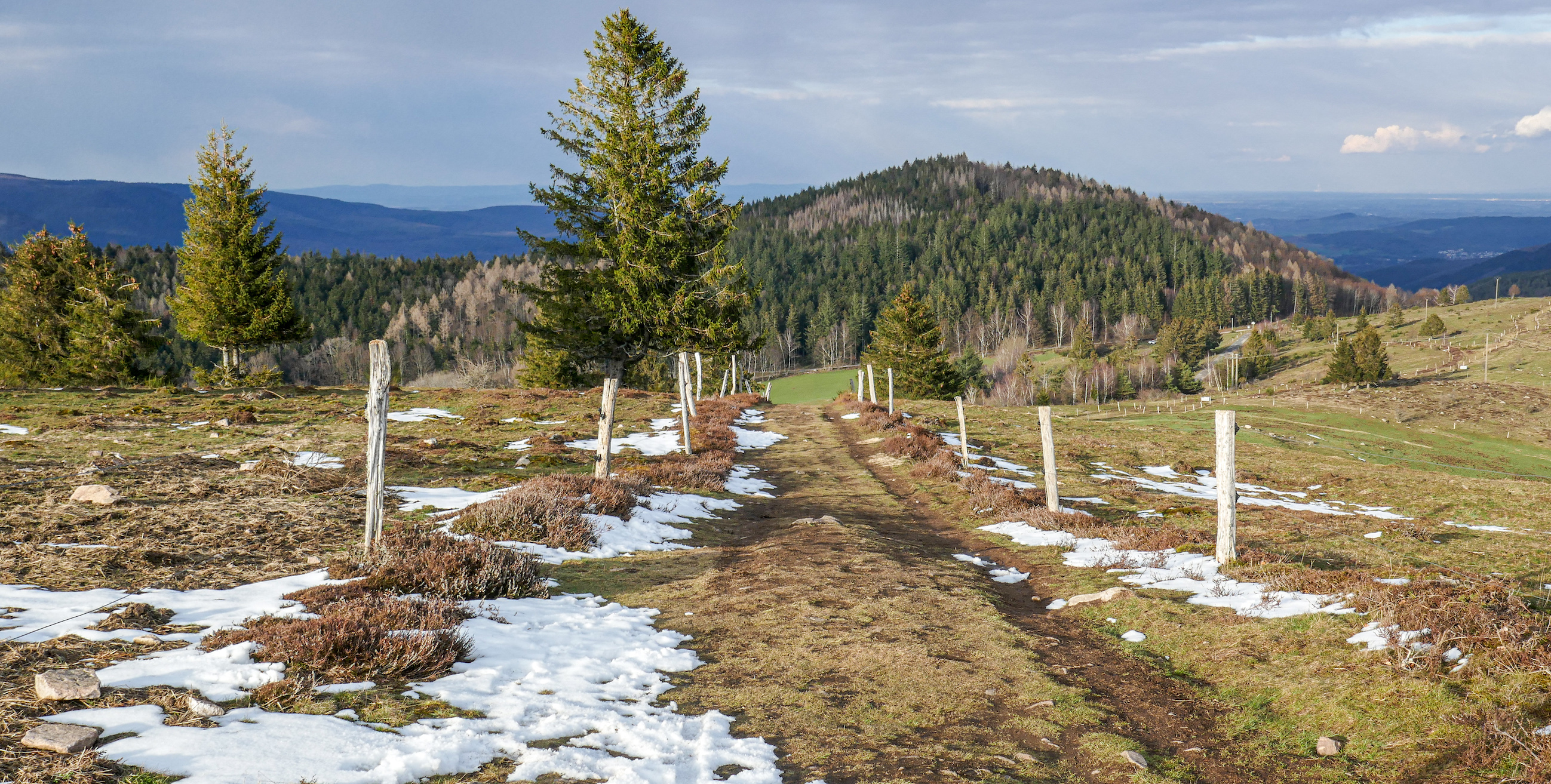 le Hohbuhl, Grendelbruch