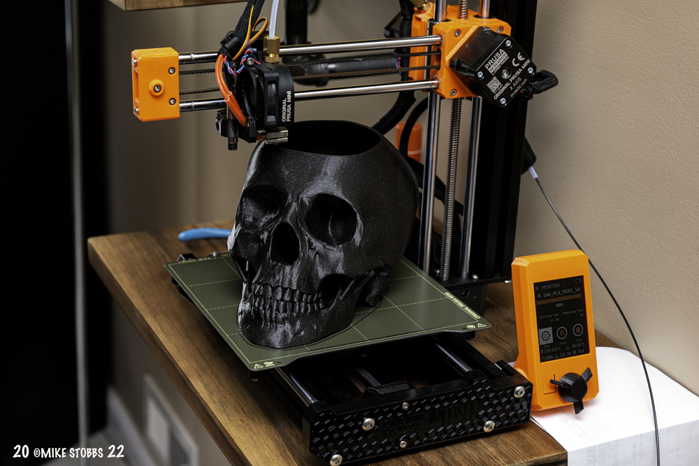 3D Printed Skull