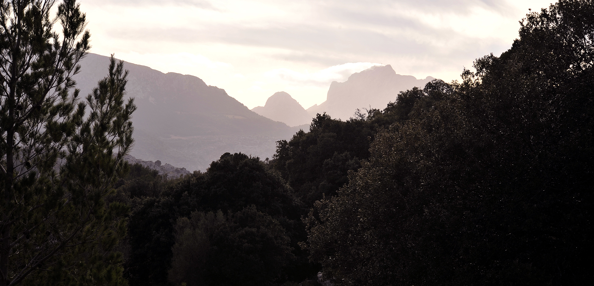 Mountains.jpg