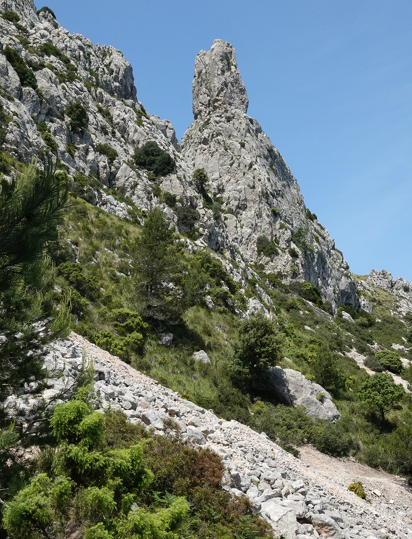 Puig Galatzo area.2.jpg