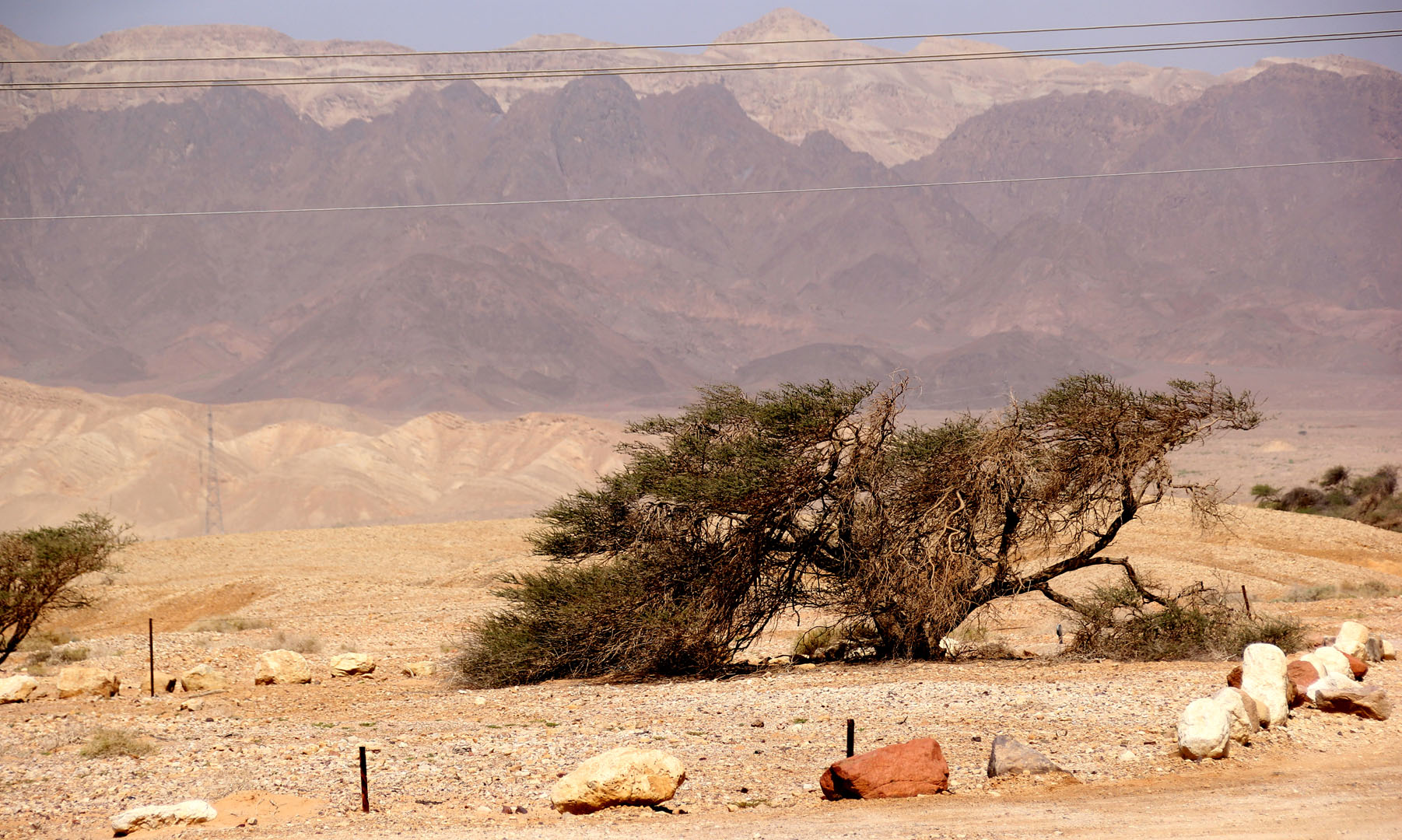 Eilat_5-4-2022 (5).JPG