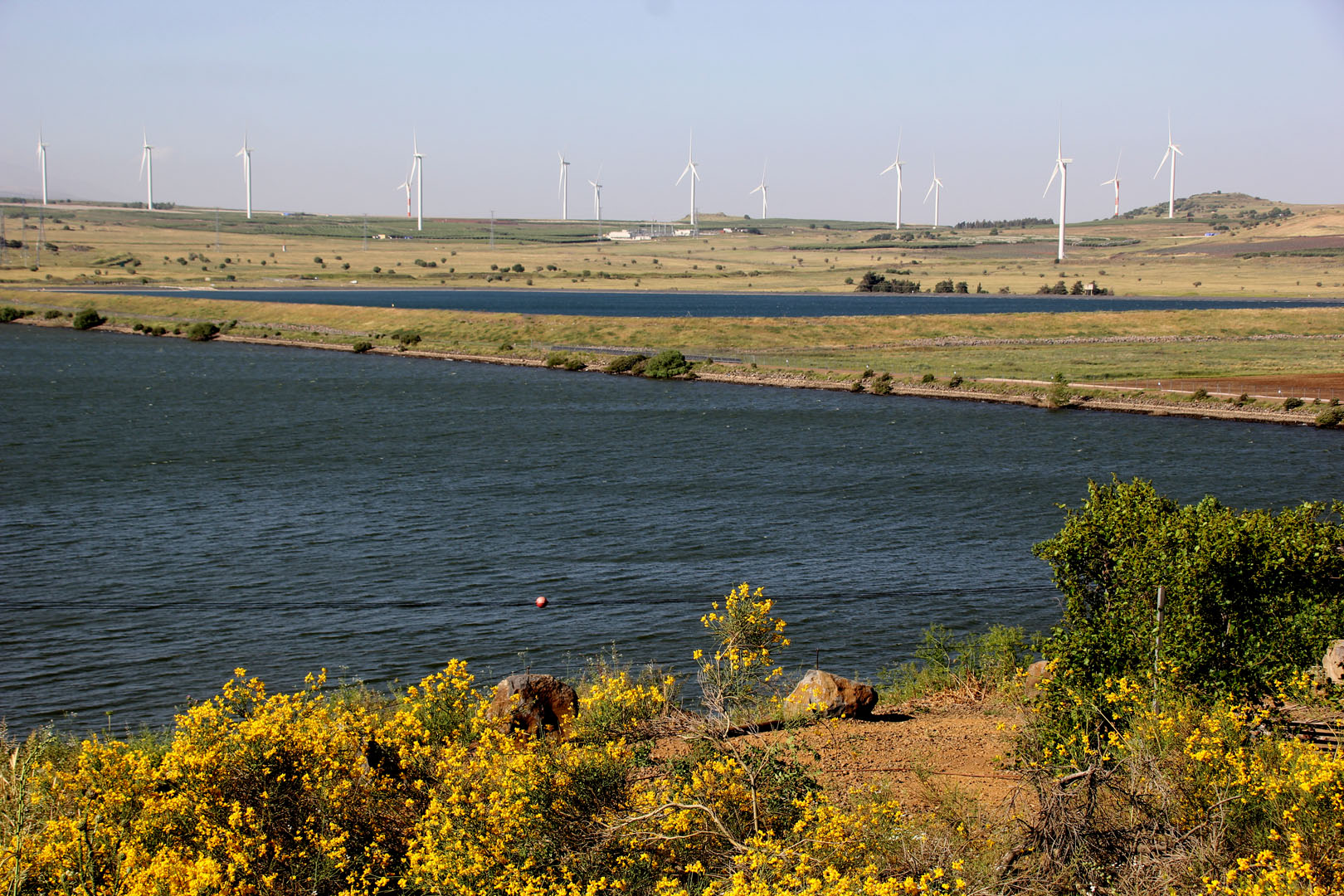Merom Golan_15-5-2022 (88).JPG