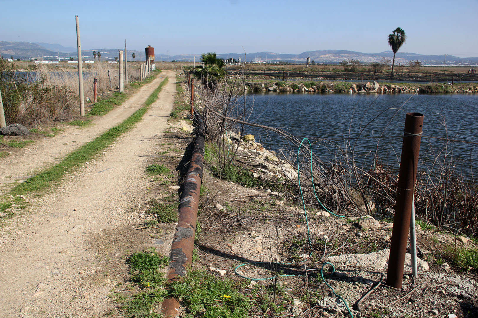 Kfar-Masarik_10-2-2023 (3).JPG