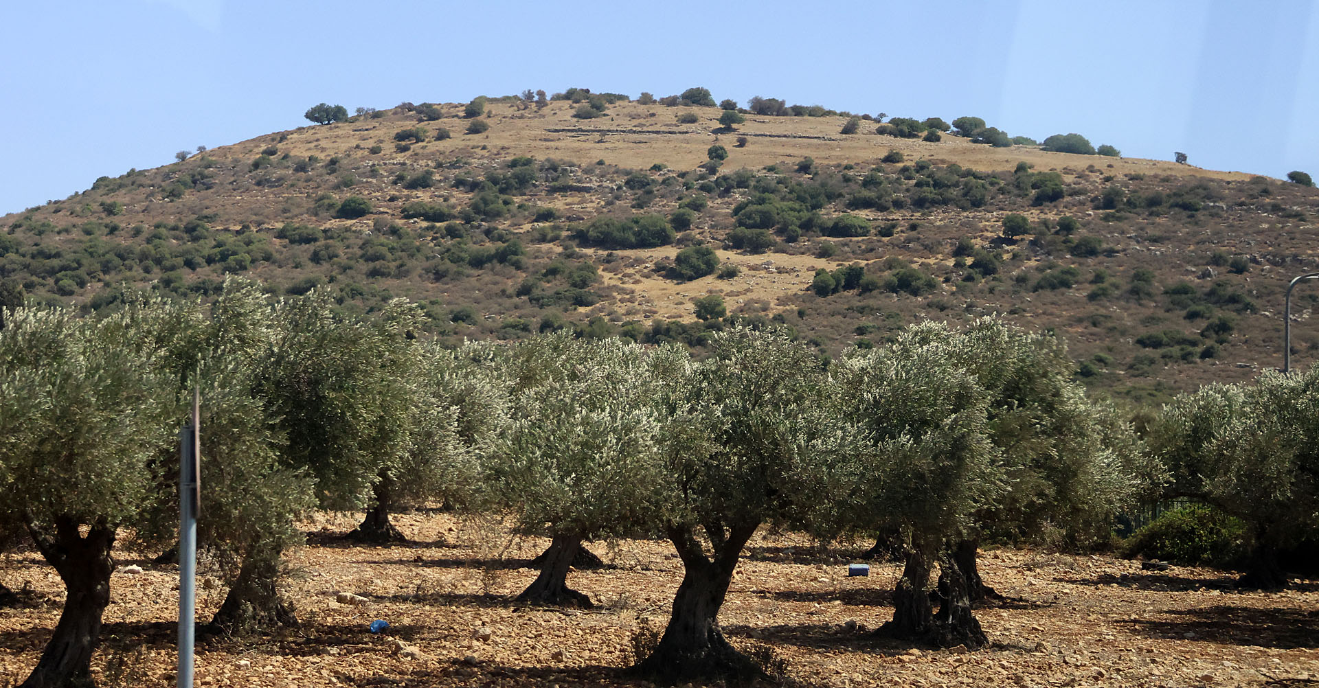 Lower-Galil_1-9-2025 (1).JPG