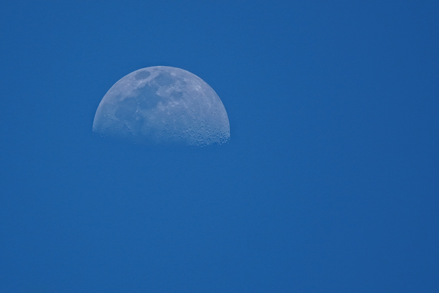 Half moon out in the daytime