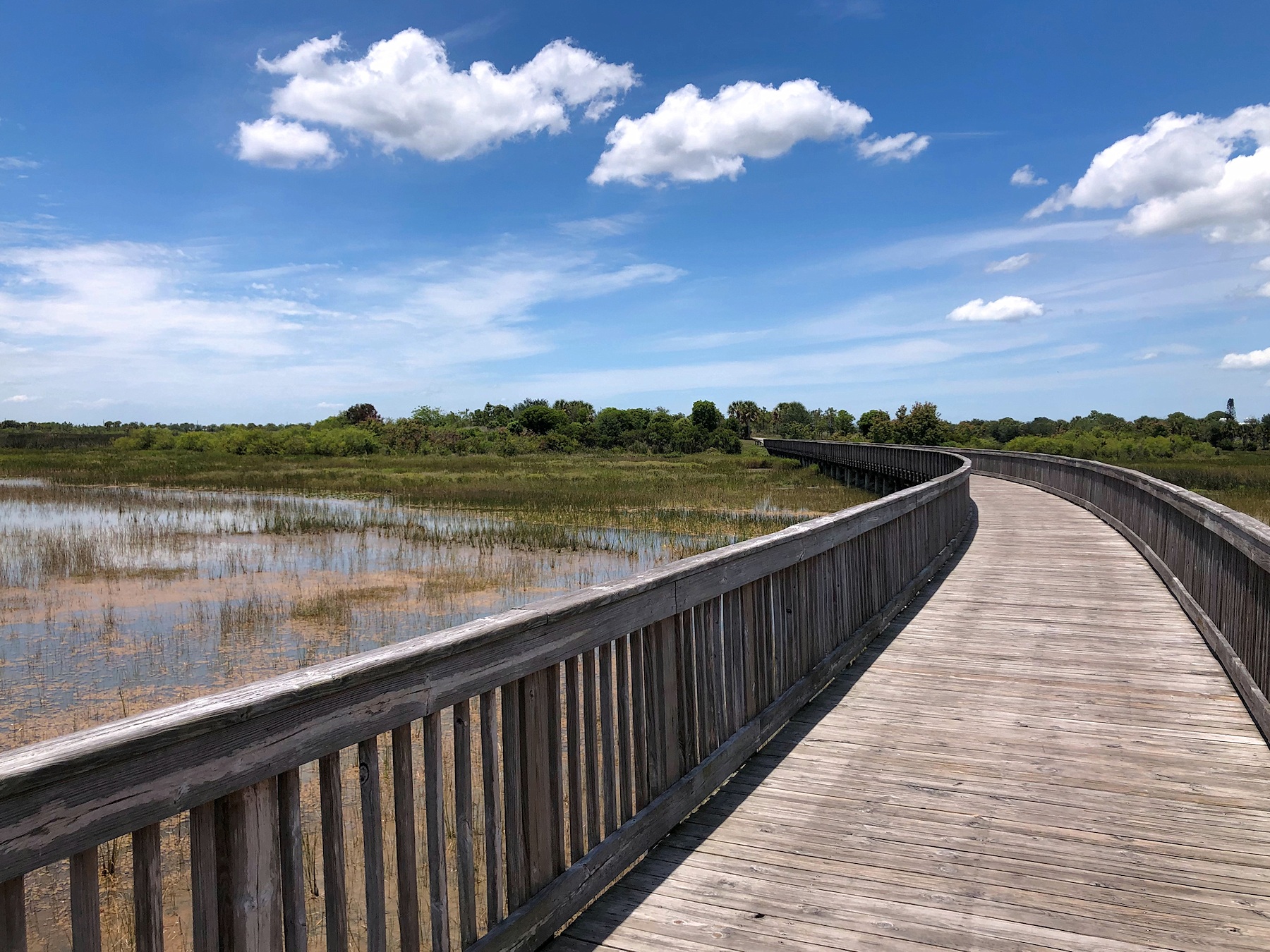 Marjorie Stoneman Douglas Wellington Wetlands