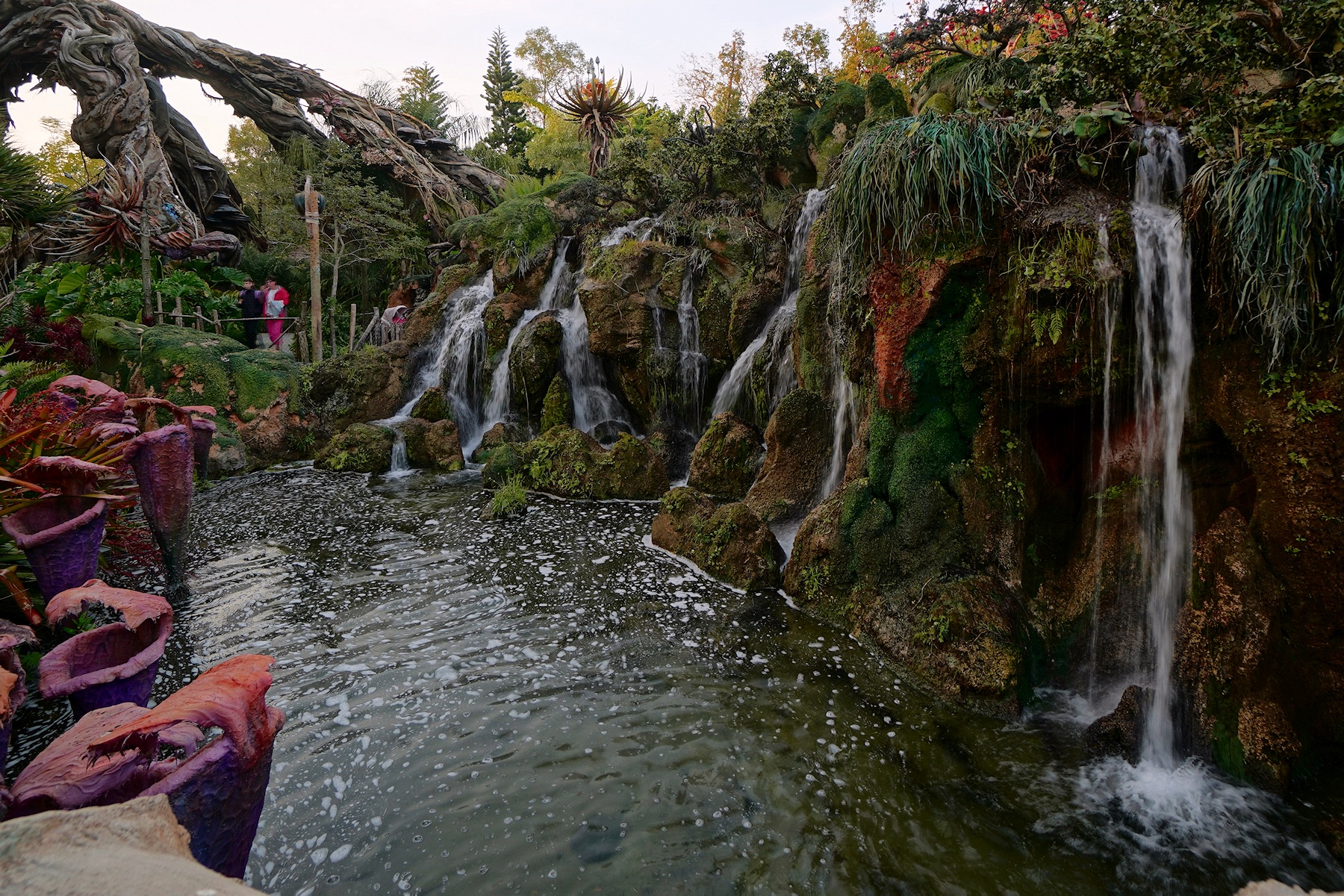 Pandora scenery