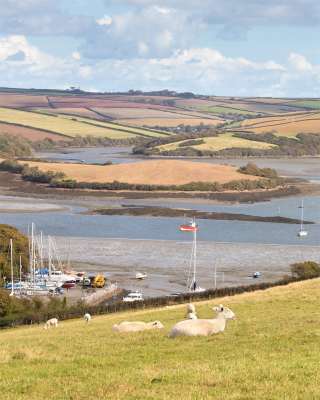 Week 41 - Winters Boatyard & Frogmore Creek.jpg