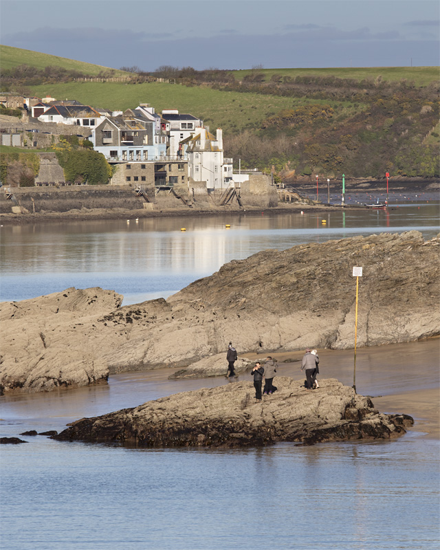 Week 04 - Salcombe Harbour from Sunny Cove.jpg