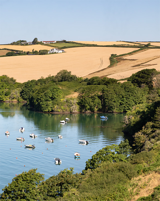 Week 29 - Batson Creek - Salcombe.jpg