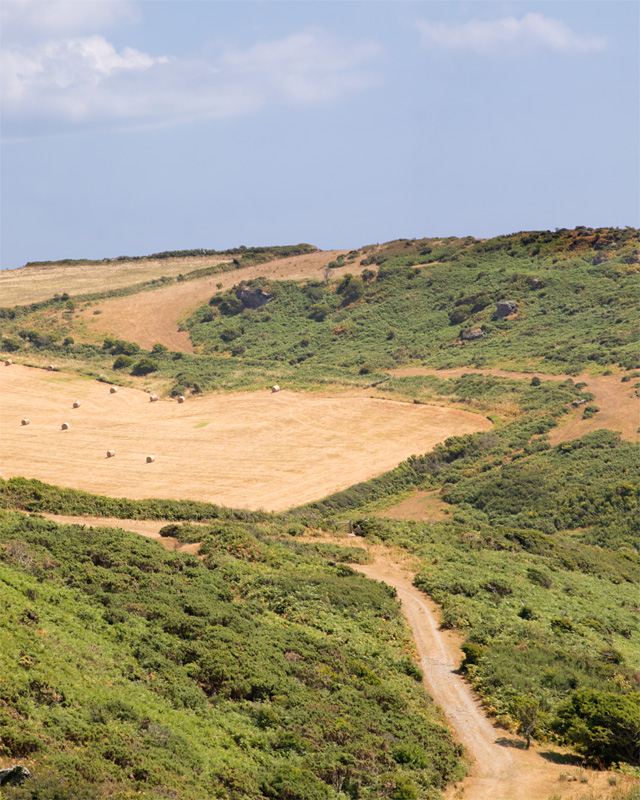 Week 31 - Soar Mill Cove Valley.jpg