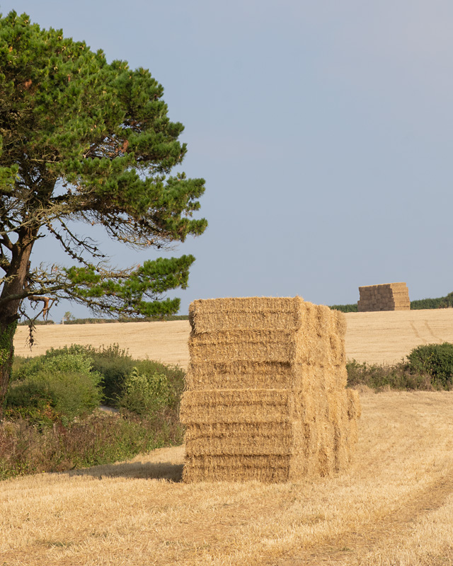 Week 36 - Straw Bales.jpg