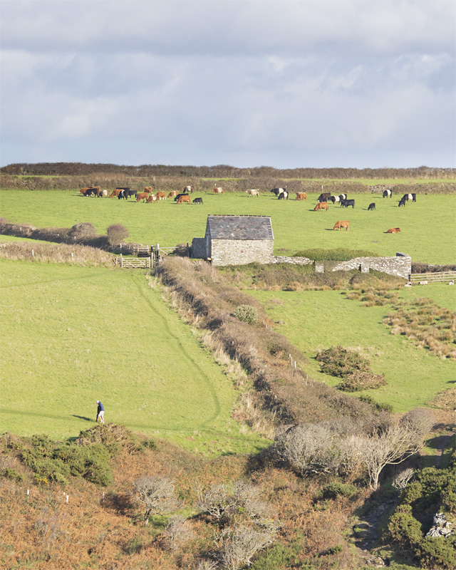 Week 47 - East Soar near Malborough #2.jpg