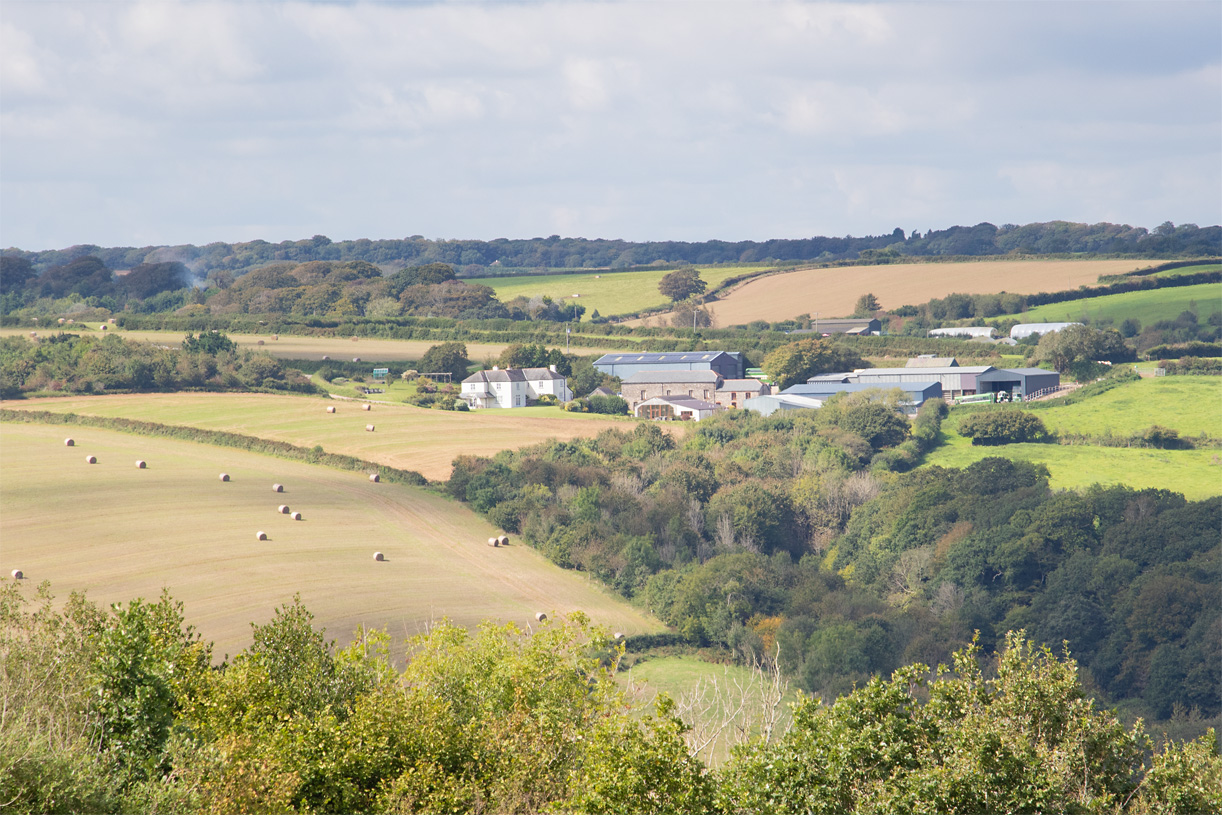 Week 37 - View from Woodleigh Wood towards Reveton Farm.jpg