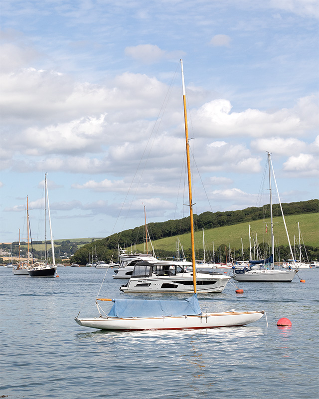 Boats at Snapes Point - Salcombe Harbour 16-08-24.jpg