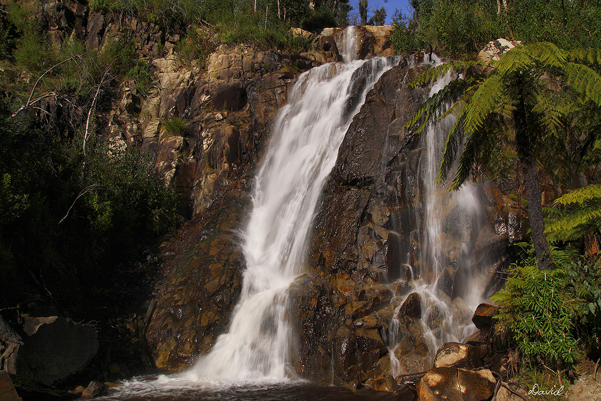 Steavensons Falls