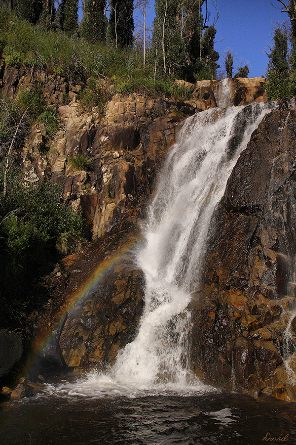 Steavensons Falls 