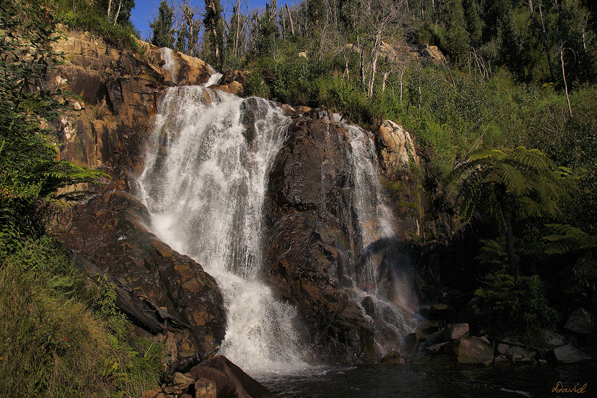 Steavensons Falls