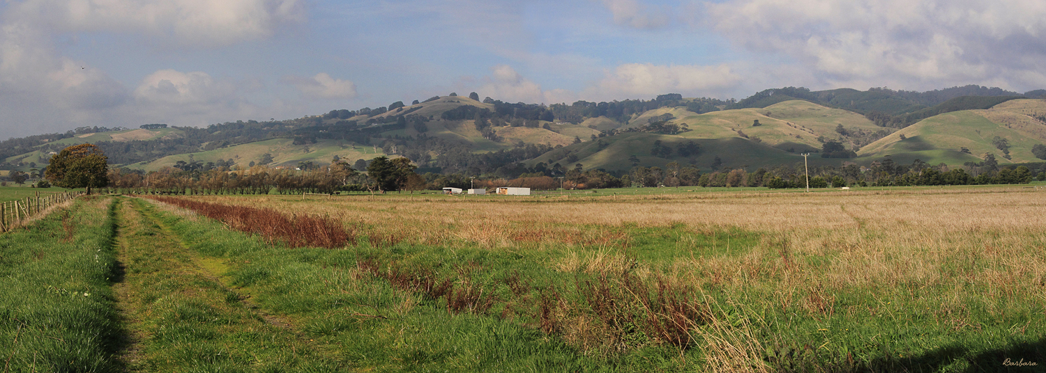 Cloverlea