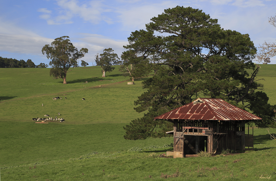 Old Time Farm Butchering Shed