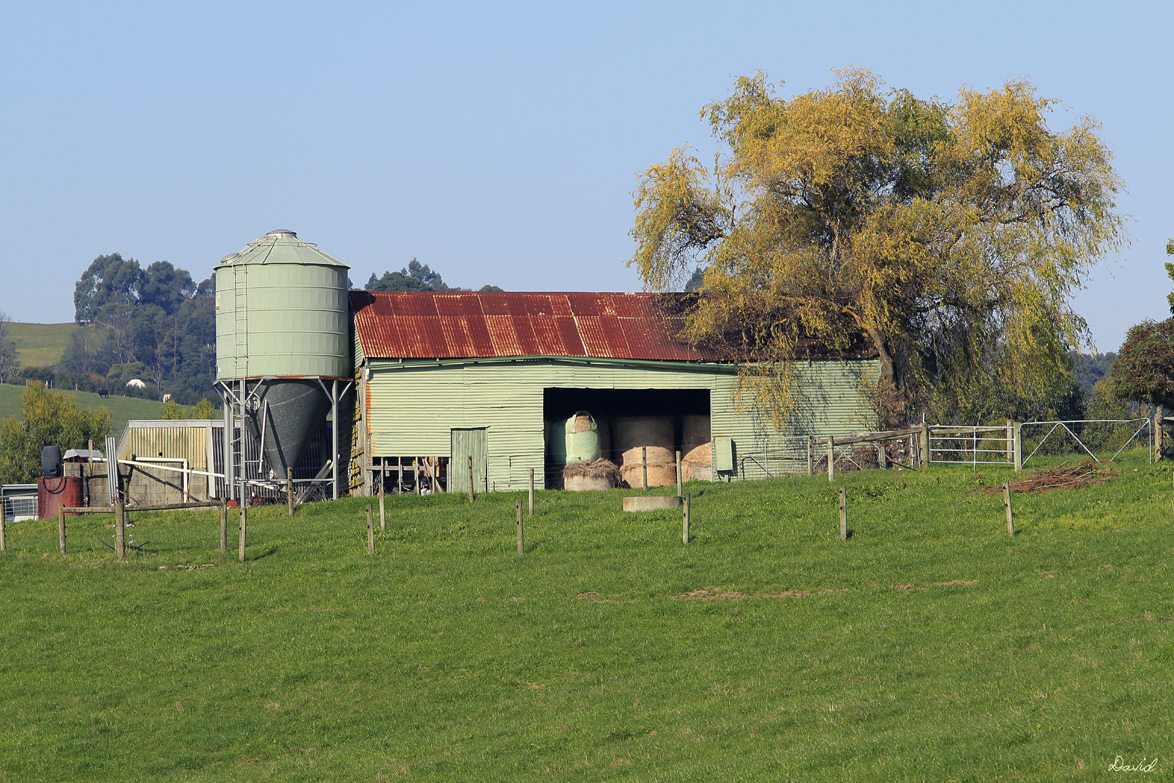 Torwood
