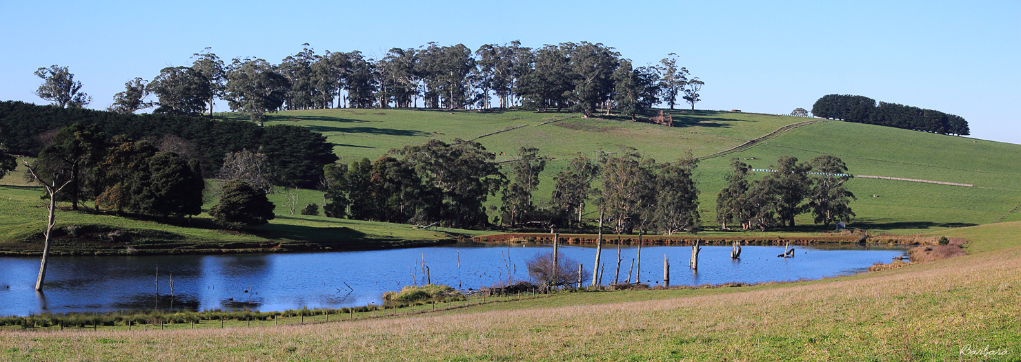 Farmland Dam