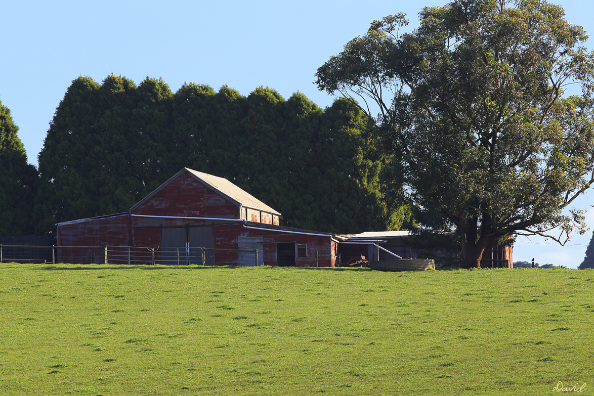 Warragul South