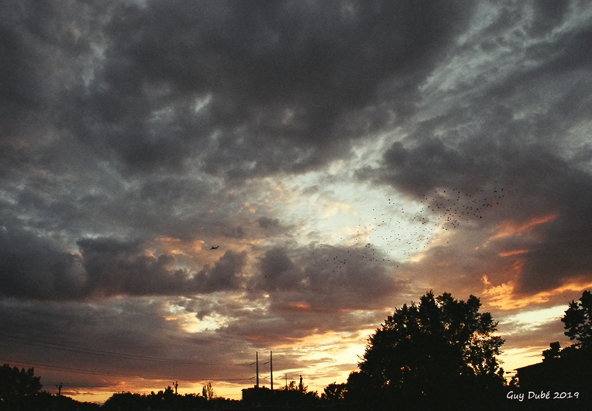 Prise de mon balcon