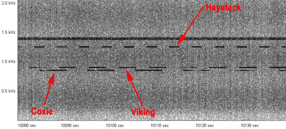 4095kHz_USB_26Jan2020_2320z.jpg