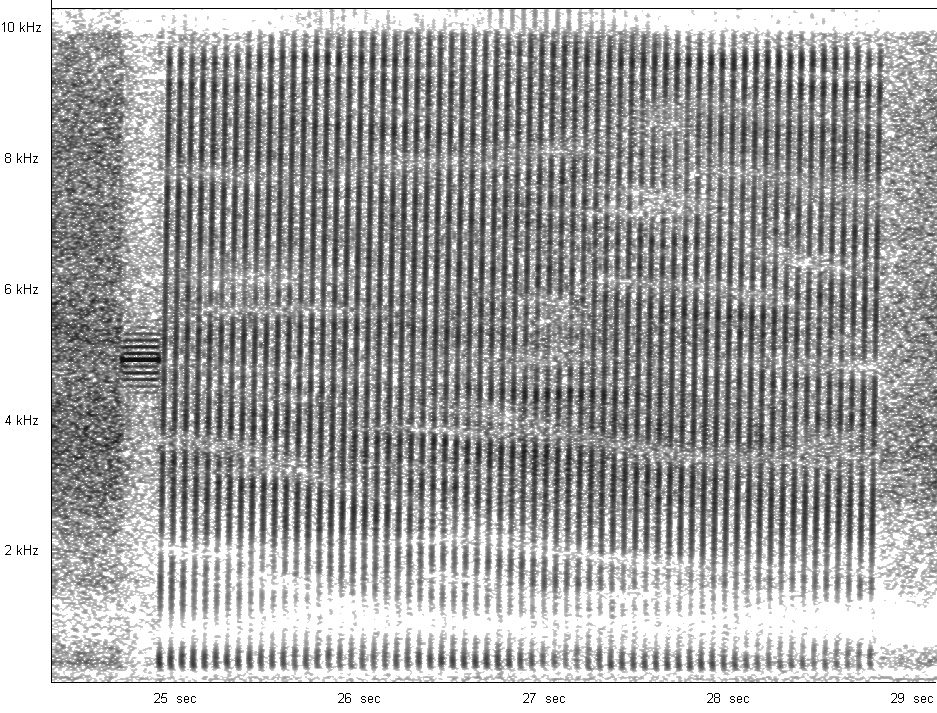 37_190_MHz_Med_burst_with_pilot_001.jpg