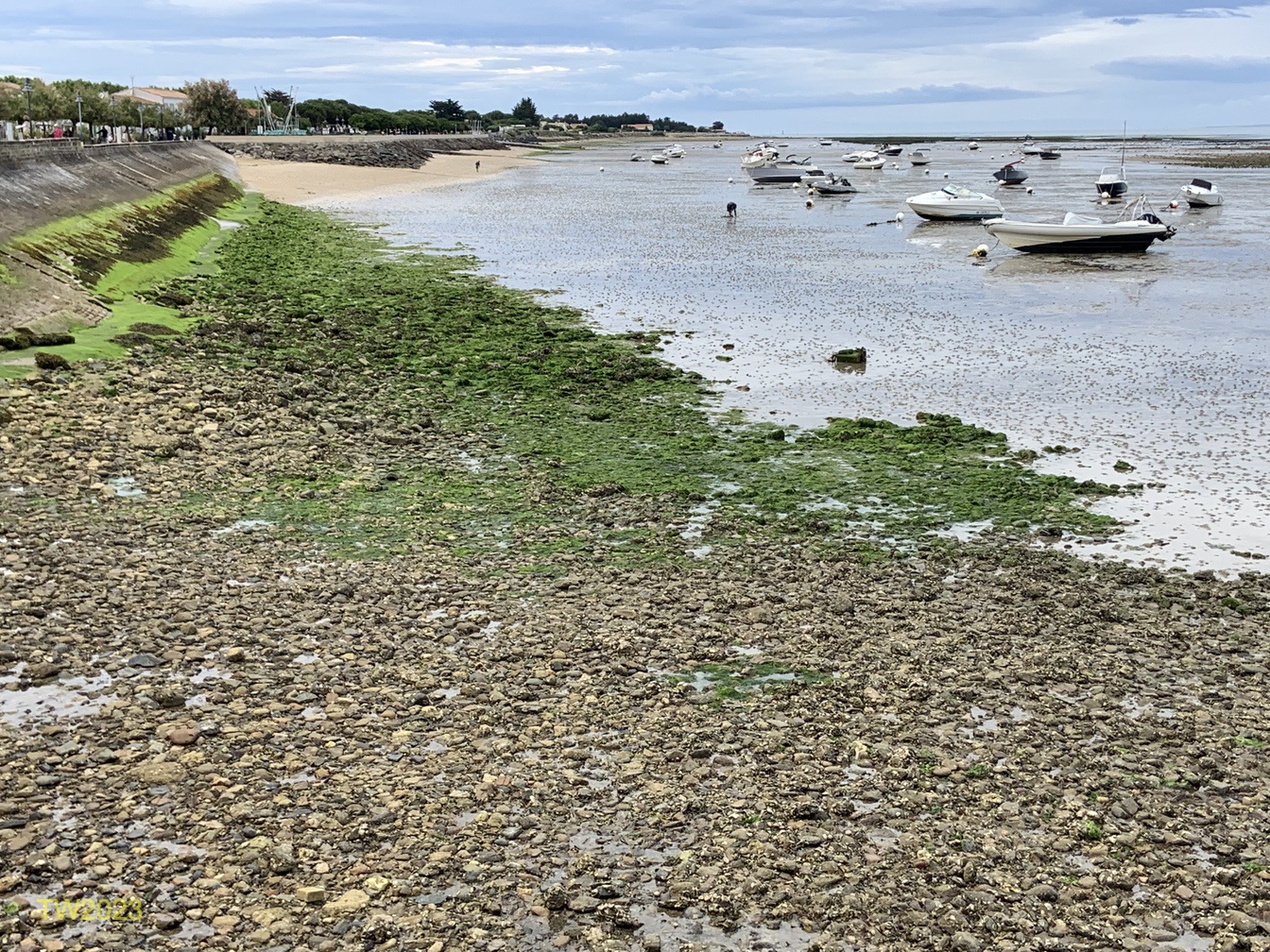 La Flotte, St. Martin-de-R