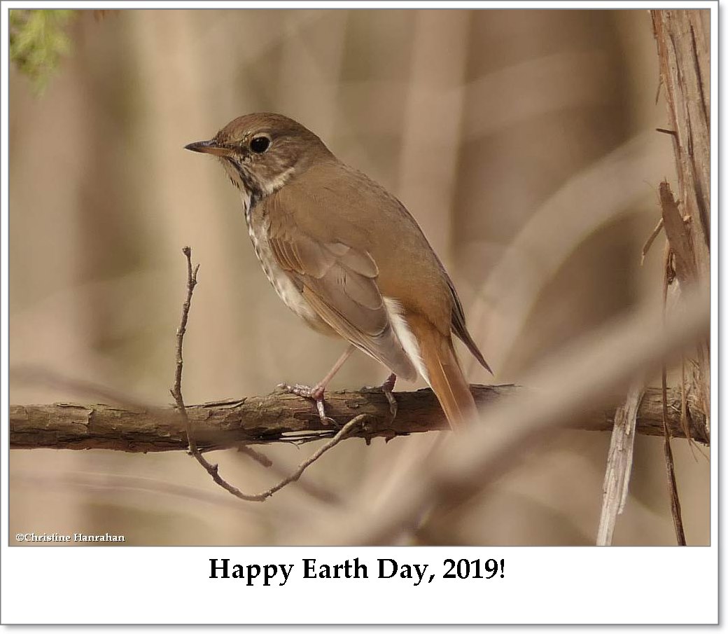 Earth Day 2019