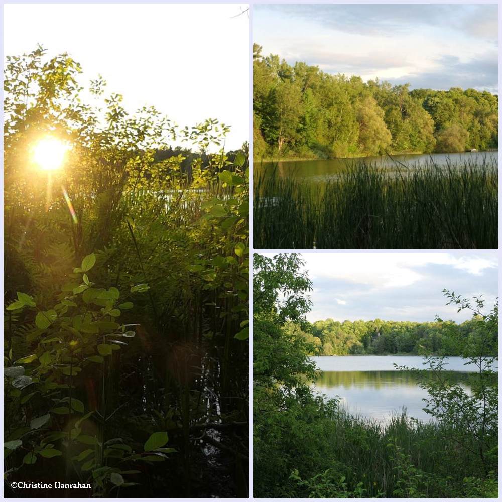 McKay Lake