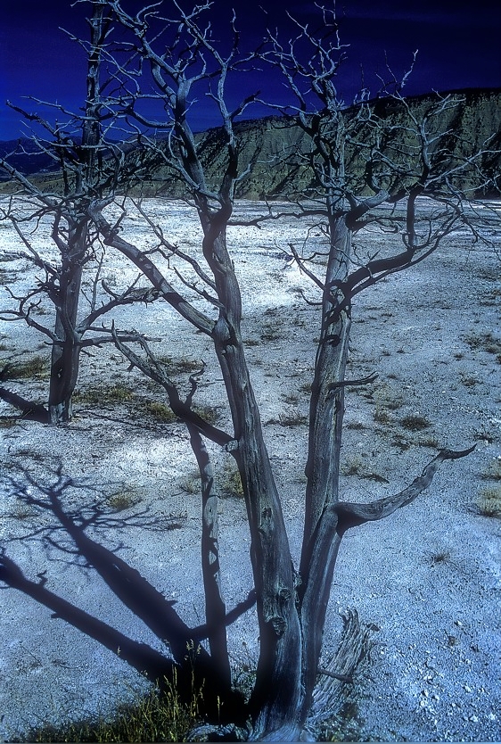 Fire & Sulphur: The Realm of Satan 
