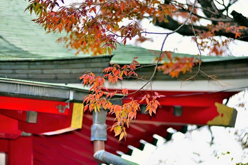 Autumn of the Gods