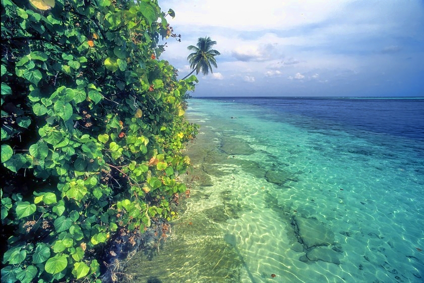 Vilamendhoo Beach, High Tide