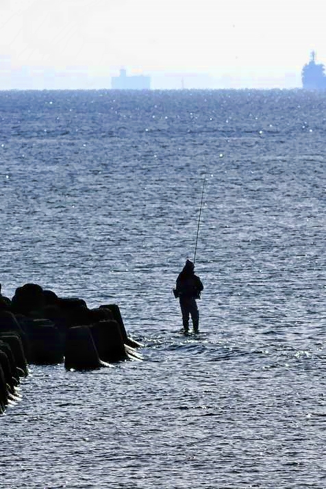 Fishing in Tokyo Bay