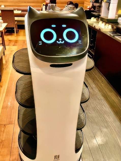 Robot Cat 
