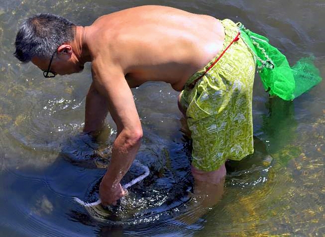 Marisqueiro, ShellFish Catcher
