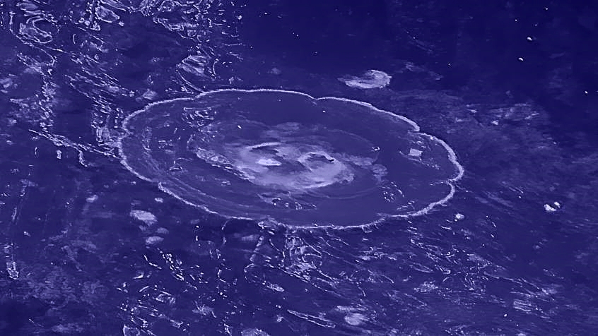 Jellyfish on the Bay