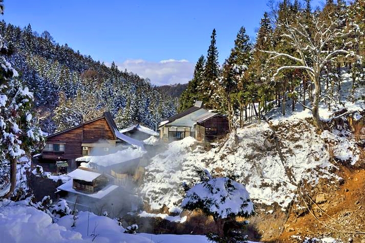 Jigokudani Hot Spring Korakukan, Close To Monkeys