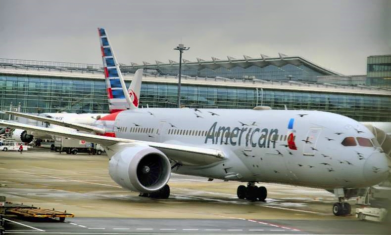 Flock Of Swallows On AA B-787-8, N813AN