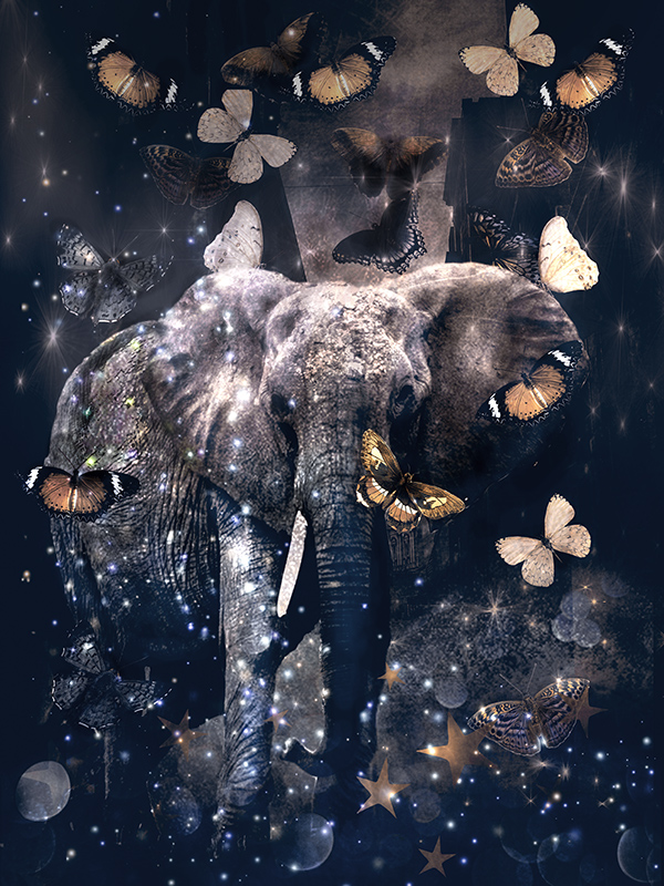 elephant with Butterflies