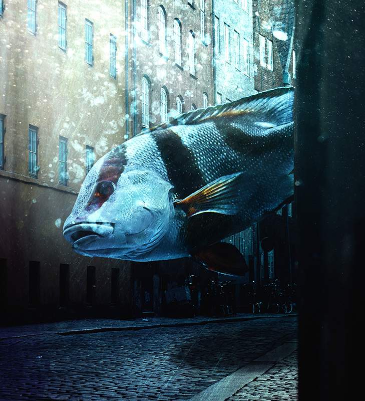 after the flood.jpg