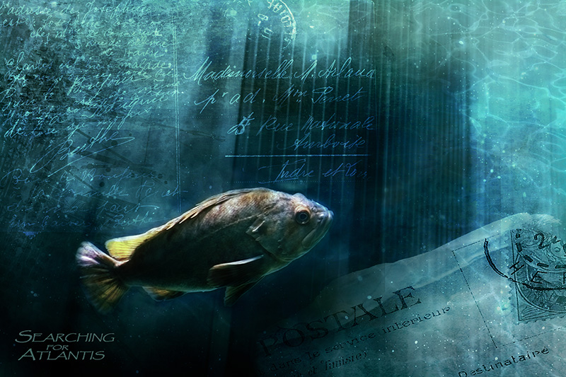 o12/51/609051/1/171434115.kSCAD22G.background1Recovered.jpg